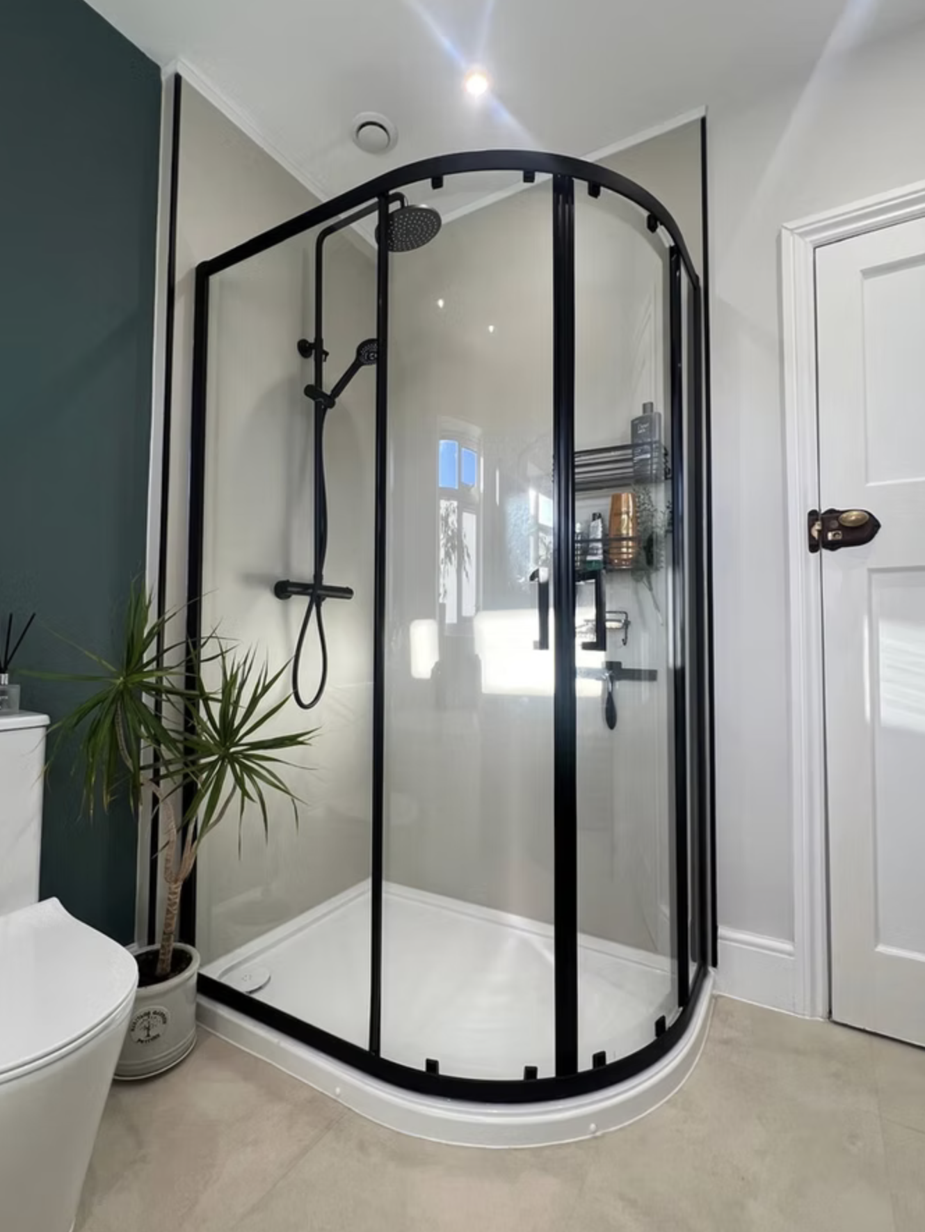 Detail: black-framed quadrant shower with matt black riser, beside the green wall and a potted dracaena.